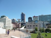 Wellington: coolest capital in the world!