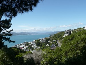 Wellington