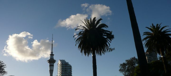 Internship at 360 Auckland abroad