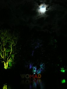 womad_nuit