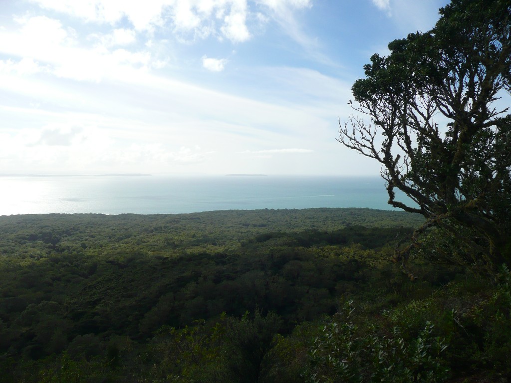 auckland_volcans