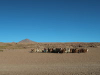L’altiplano andin, et sa capitale la Paz