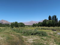 Entre Andes et vignobles, arrêt à Mendoza