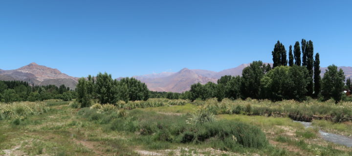 Entre Andes et vignobles, arrêt à Mendoza
